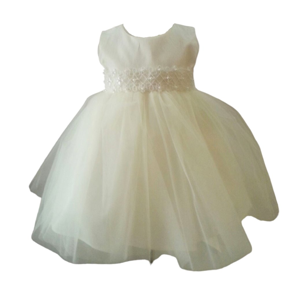 Charlotte Silk And Tulle Dress - Ivory - Nwt